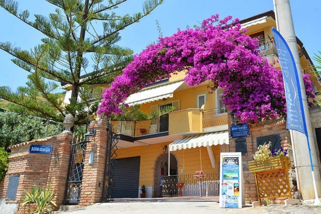 Apartamento Blue Marlin Marina di Camerota Exterior foto